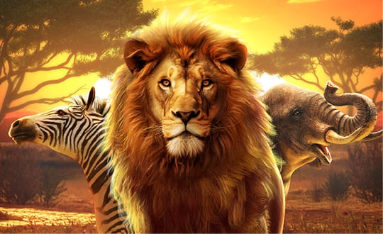 pg safari wilds official cover 游戏图片