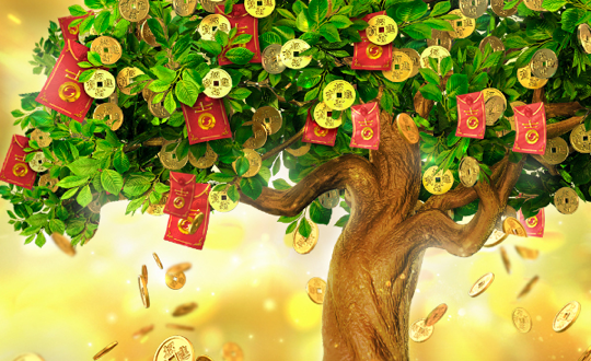 tree of fortune 游戏图片